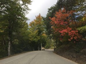 Automne à Thorenc-Station