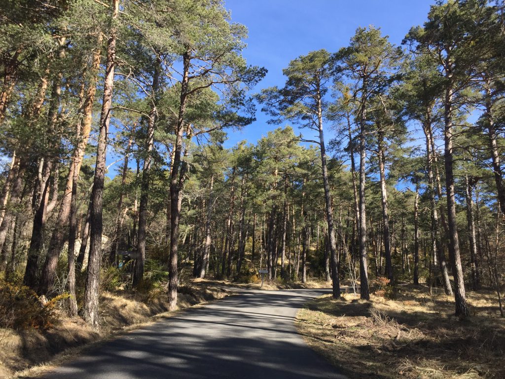 Village en forêt à proximité de Cannes