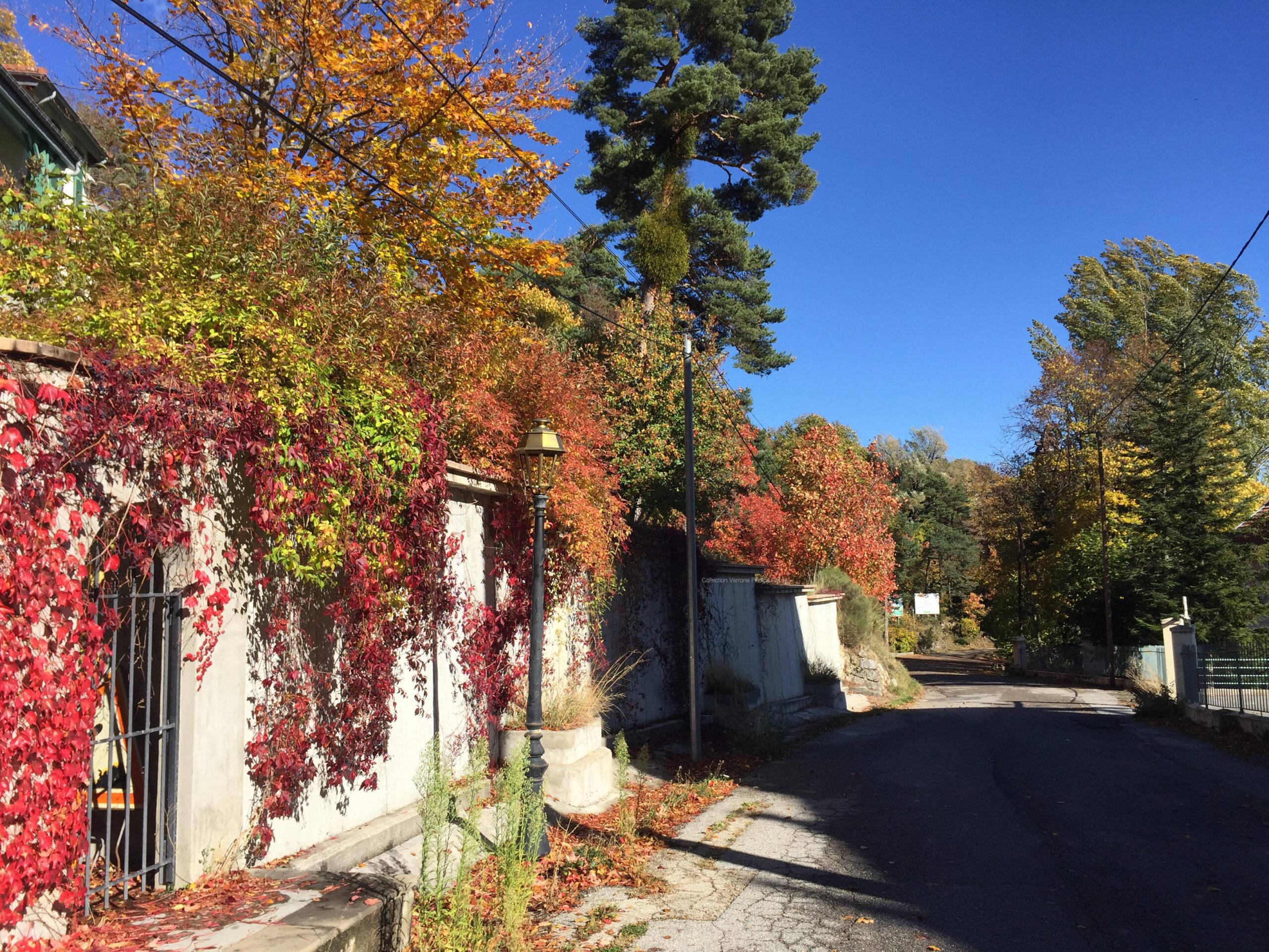 Thorenc Alpes Maritimes