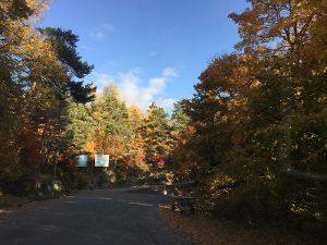 Vue automnale village de Thorenc