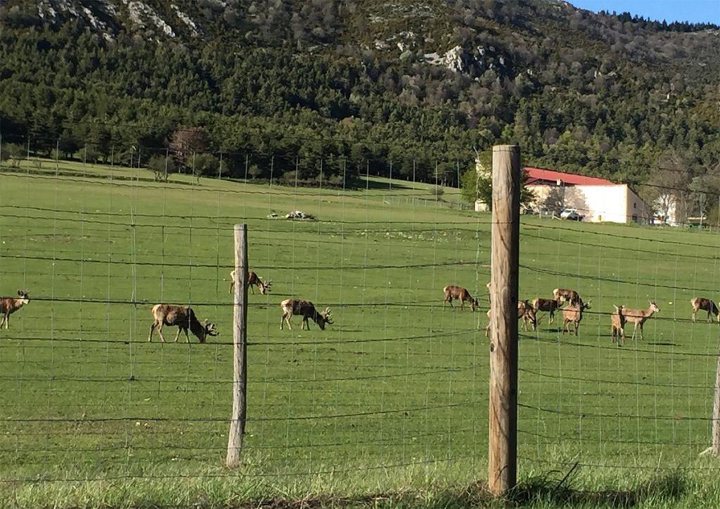 Parc Naturel Thorenc