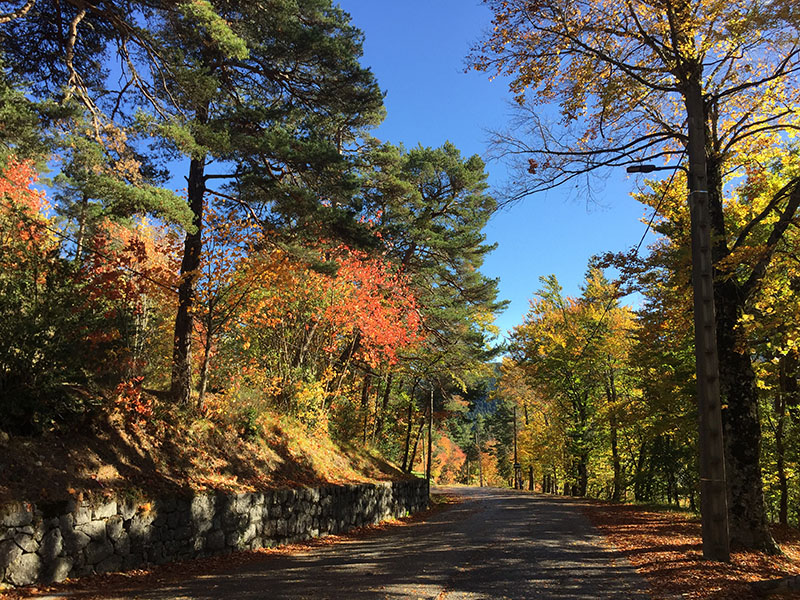 Tourisme climatique Thorenc