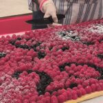 2025 framboises à Thorenc
