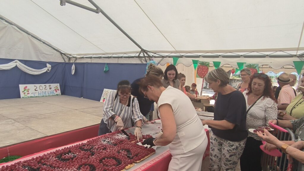 Tarte aux framboises fête de framboises