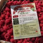 Fête des framboises Thorenc 2026